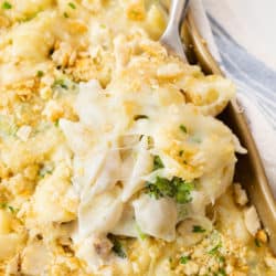 A spoon scooping up Chicken Alfredo Bake from a casserole dish.