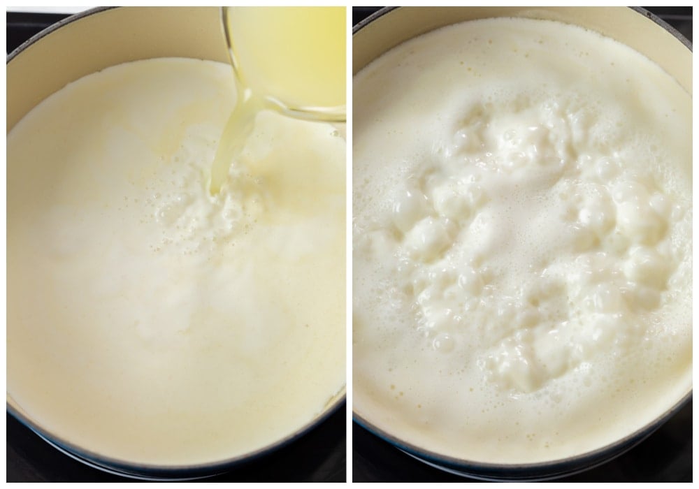 Adding chicken broth and milk to make one pot Broccoli Mac and Cheese.