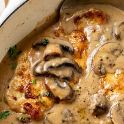 Mushroom chicken in a pot with parsley and thyme.