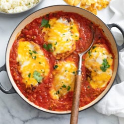 A skillet filled with Salsa Chicken topped with cheese and cilantro with a spoon in it.